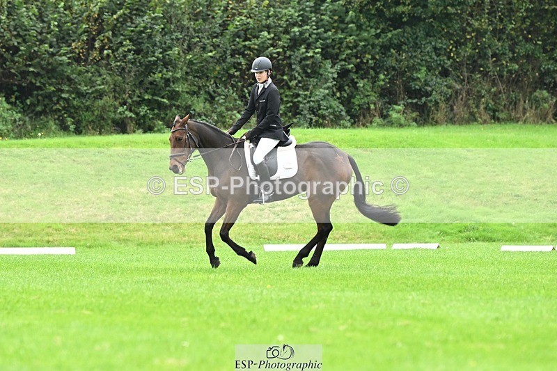 241024-111123-03158 - 504-Harry.Robinson-WHAT.A.WONDER