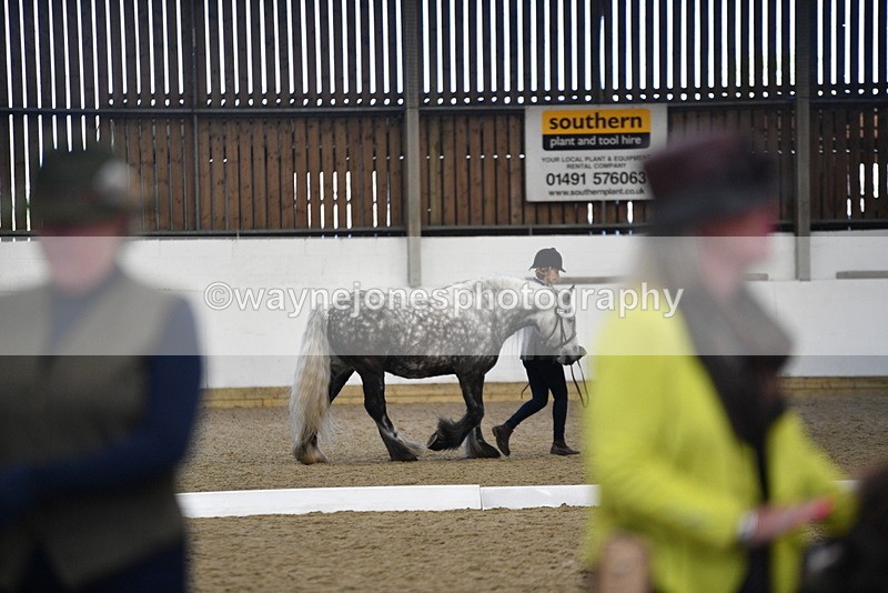WJ5_5542 - Class 8 In hand cob