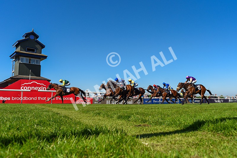 130525-Race 4-Coolree-4323 - Race 4