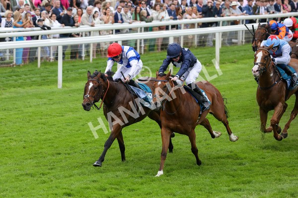 250524-Race 1-Tiriac-2967 - Race 1 1.35pm William Hill Keep Your Raceday Positive Handicap