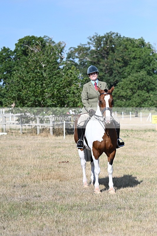 WJ7_2869 - Class 8 Ridden Tack & Turnout