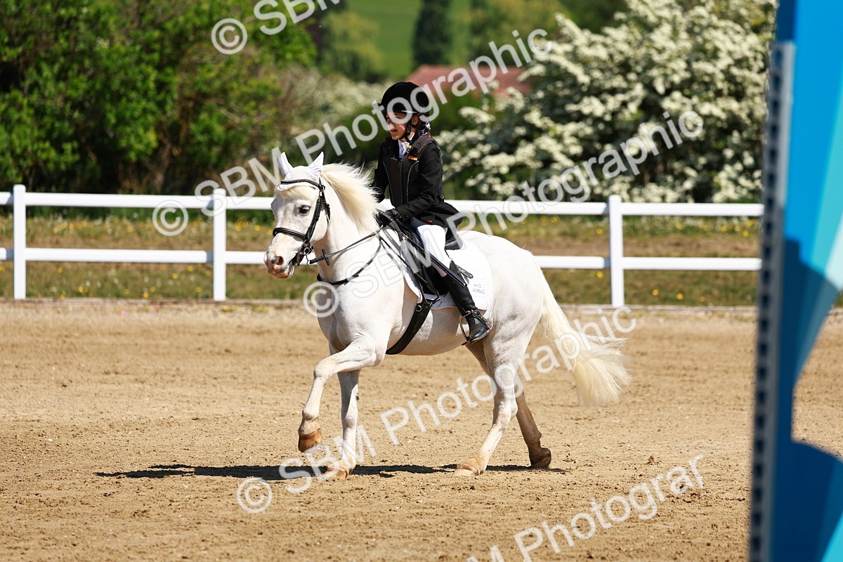 SBM_007148 - Class 3 - 60cm