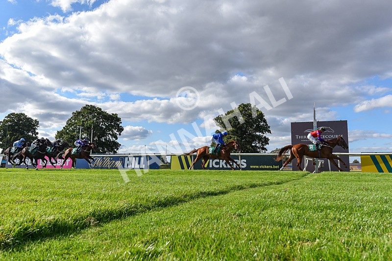 160824-Race 1-Thunder Wonder-3572 - Race 1