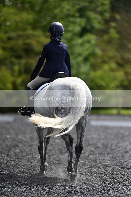 WJ5_1568 - Time 14:20 to 15:01