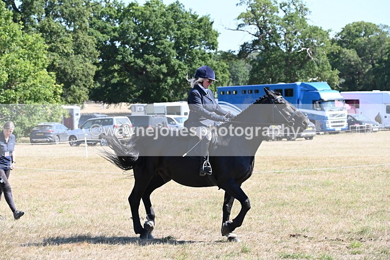 WJ6_8275 - Class 37a Best Loan Pony Ridden