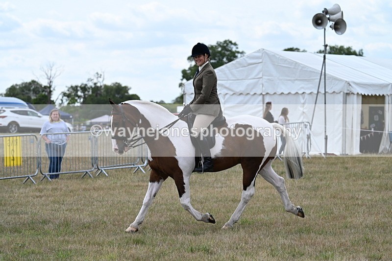 WJ7_4984 - Class 12 Ridden Cob
