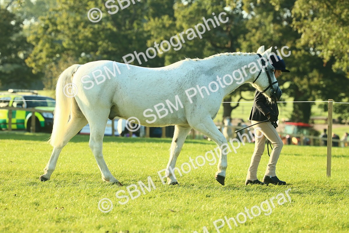 SBM_57291 - S37 - Starters In Hand Showing