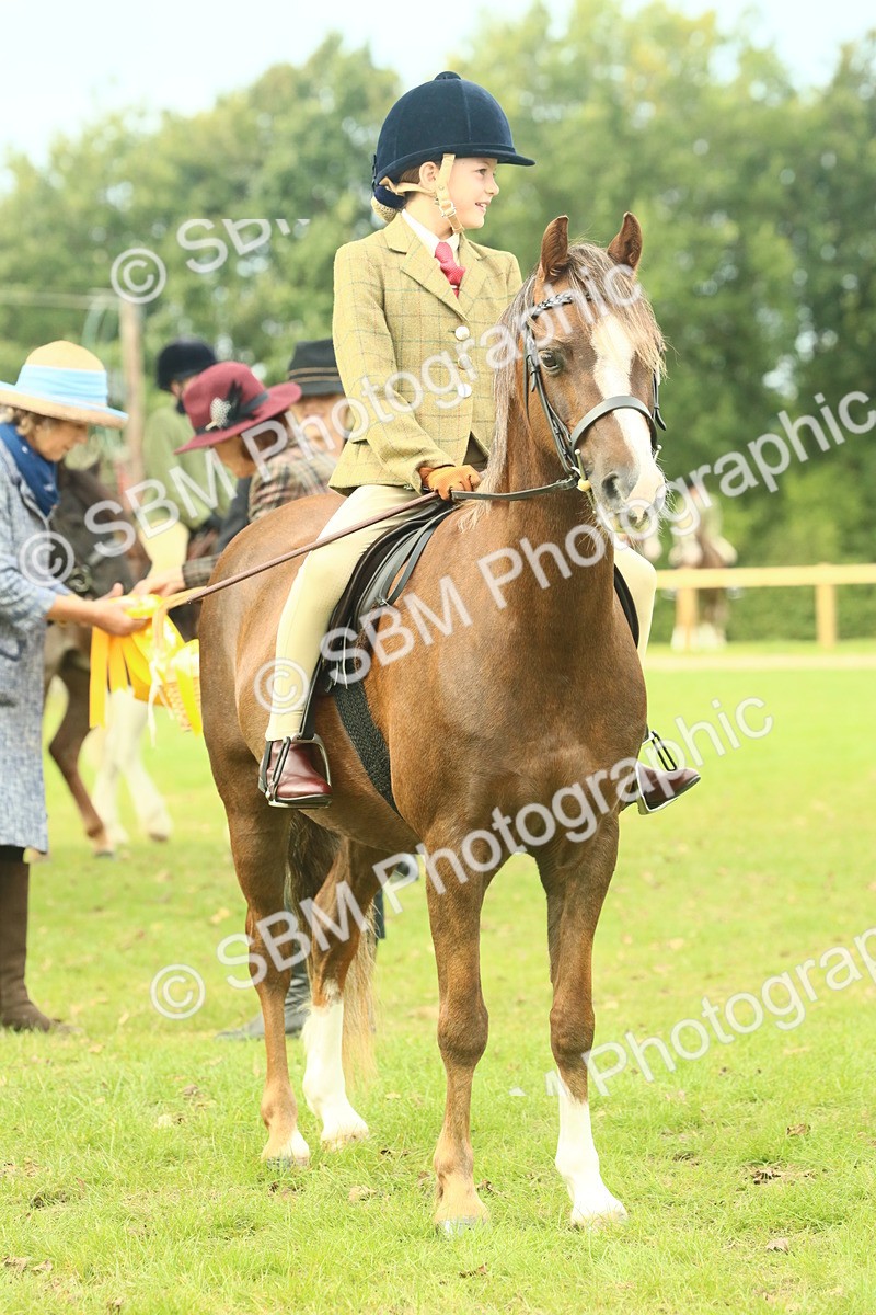 SBM_70002 - S59 - Mountain & Moorland Ridden Small Breeds