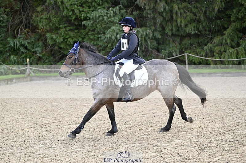 251005A-085545-02891 - Cls 02 GR 50cm