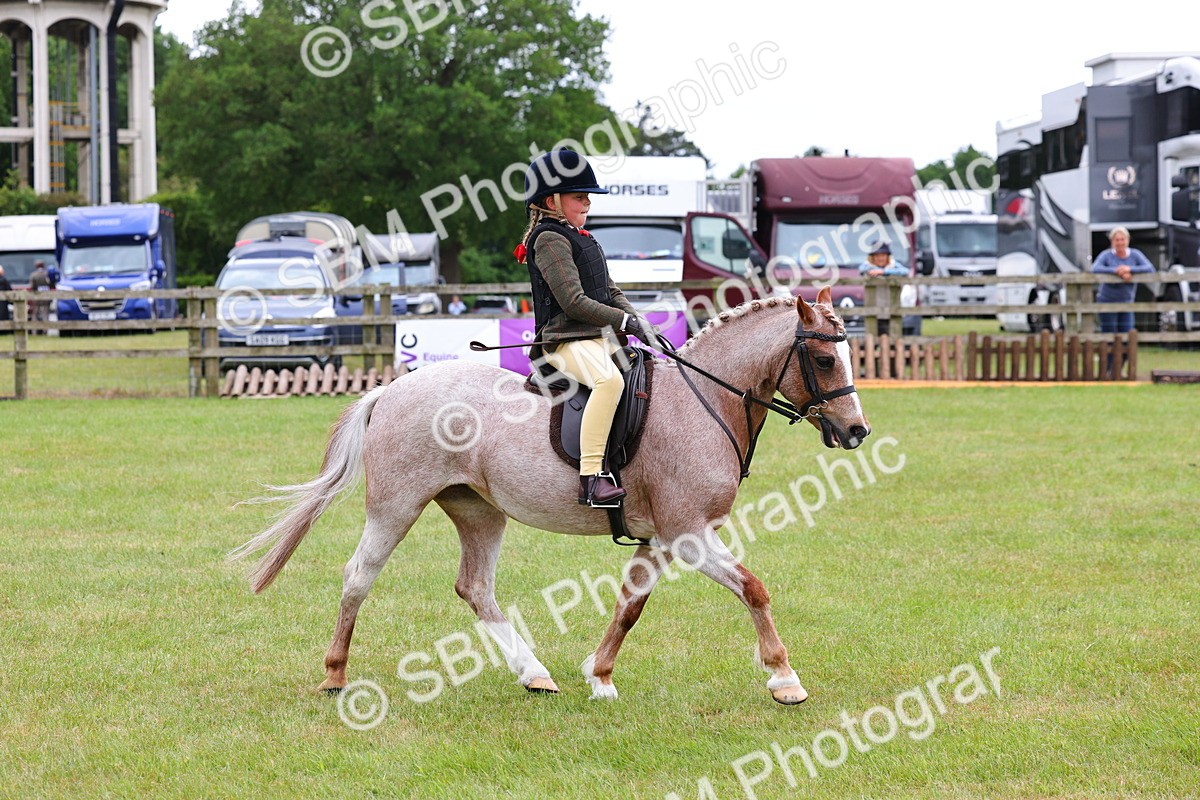 SBM_09416 - Class 44-45 - LIHS BSPS Open Nursery and Cradle Stakes