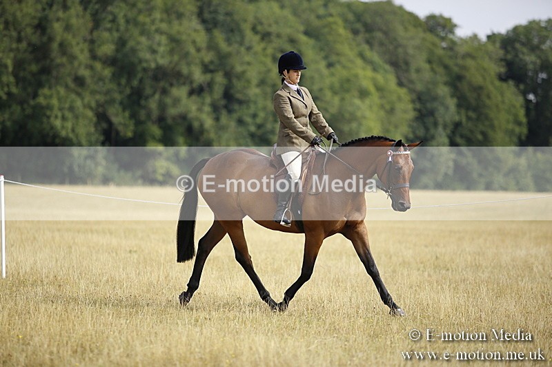 _C7A9271 - BVRC Show 2018 Ring 1