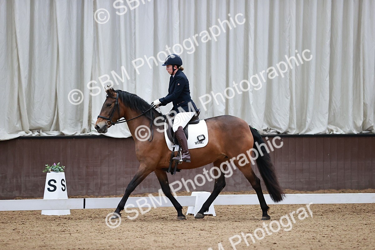 SBM_000787 - Class 2-5-4-6 - Paso Doble-Golega-Novato-Sevilla - FSM