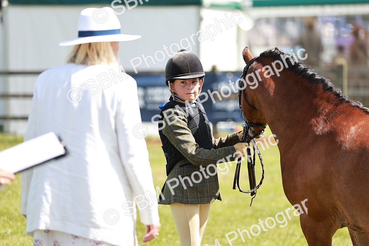 SBM_13599 - Class 108-109 - BSPS LIHS Open Gradle & Nursery Stakes