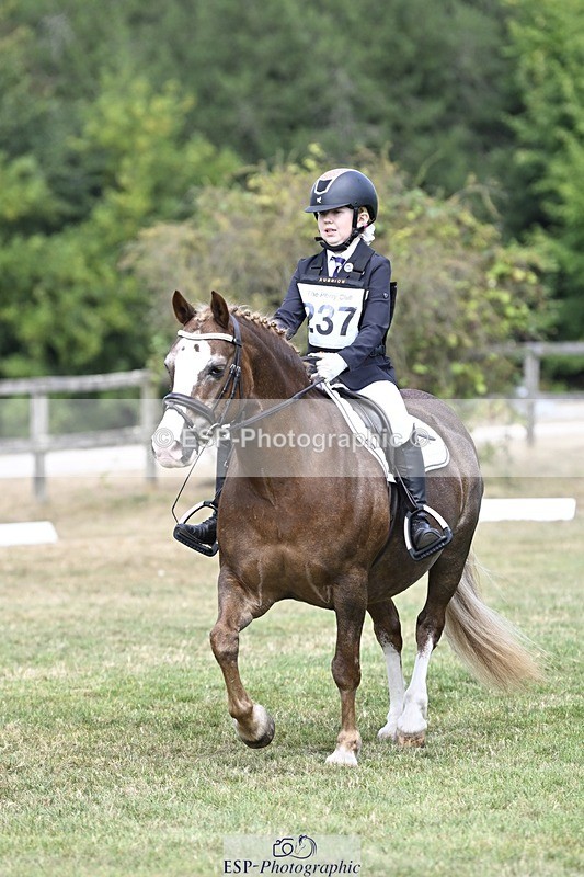 250821A-123035-15571 - DR 11.00 to 12.00