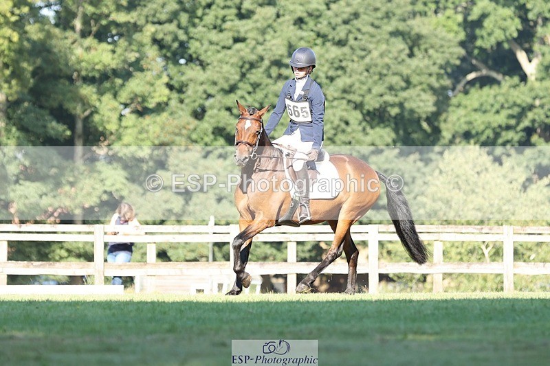 250823A-090058-25830 - Arena D