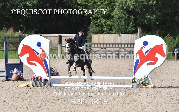 BPP_9816 - CLASS 3 Derby Show Jumping 40CM