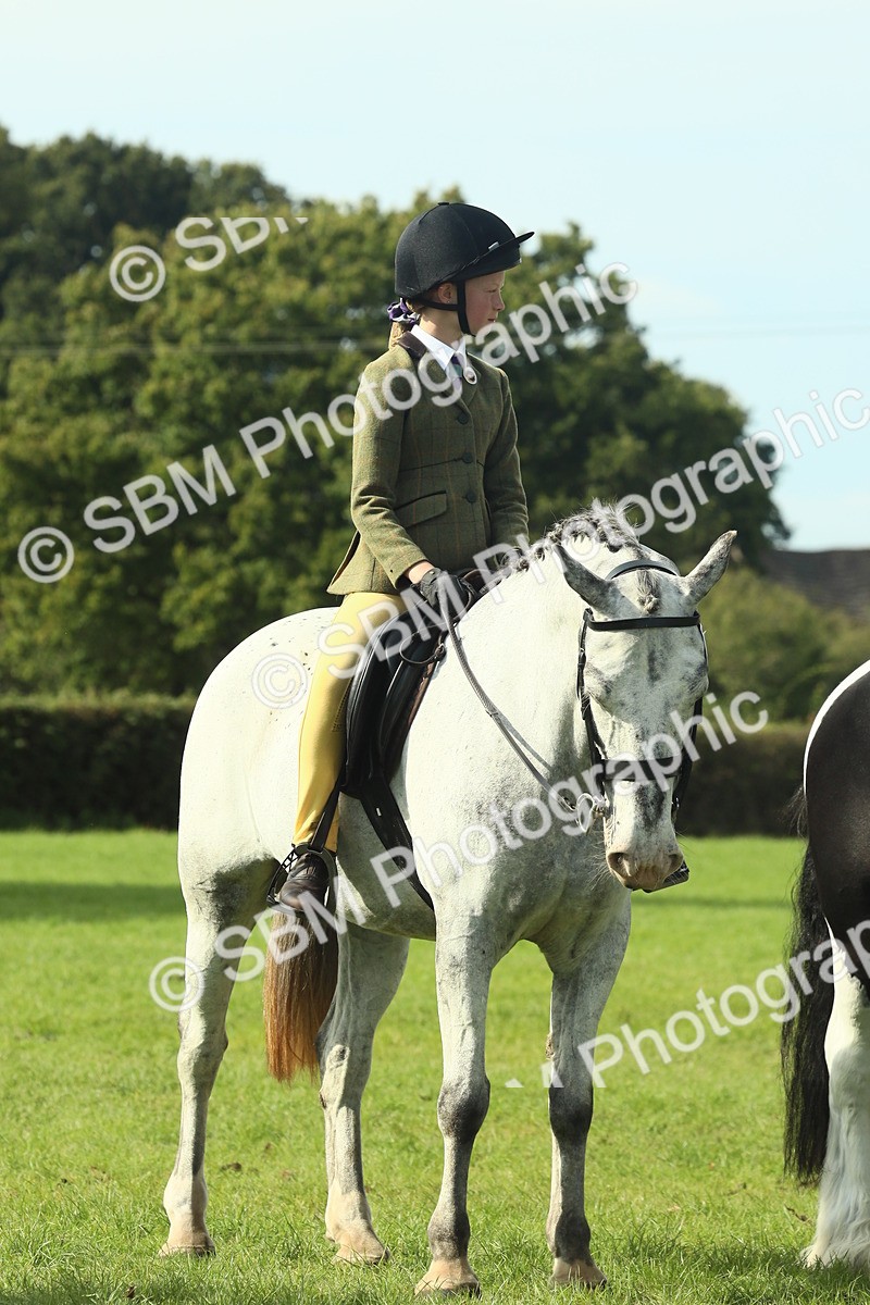 SBM_68938 - S58 - Mini Show Cob Ridden