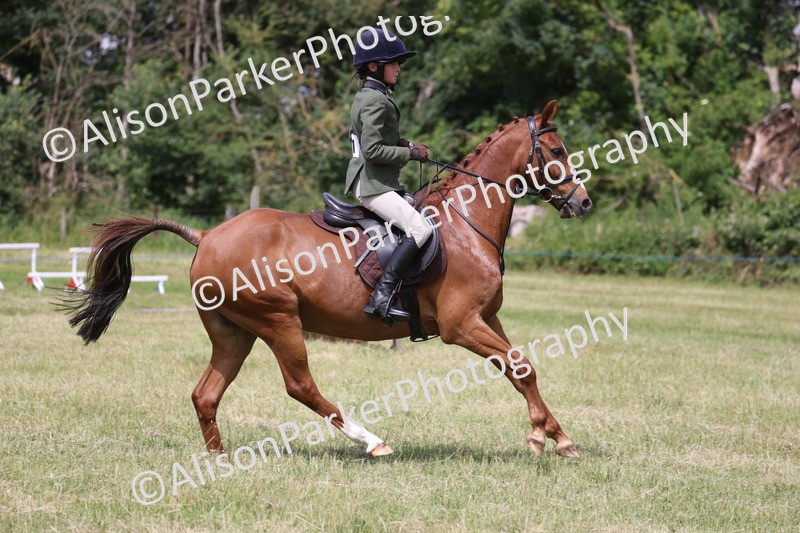 20260614-1876 - Class 21 - Novice Working Hunter Pony