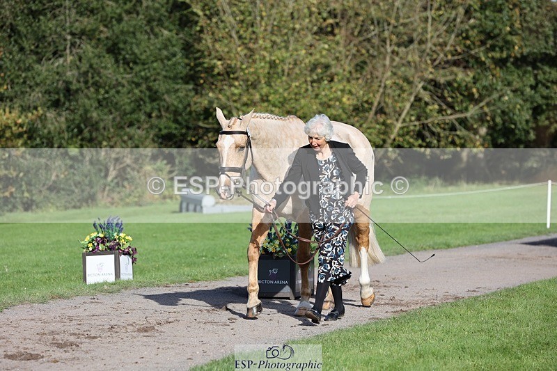 241027-103354-15966 - 519-Jane.Rogers-CORRIEVIEW.MERLIN.MAGIC