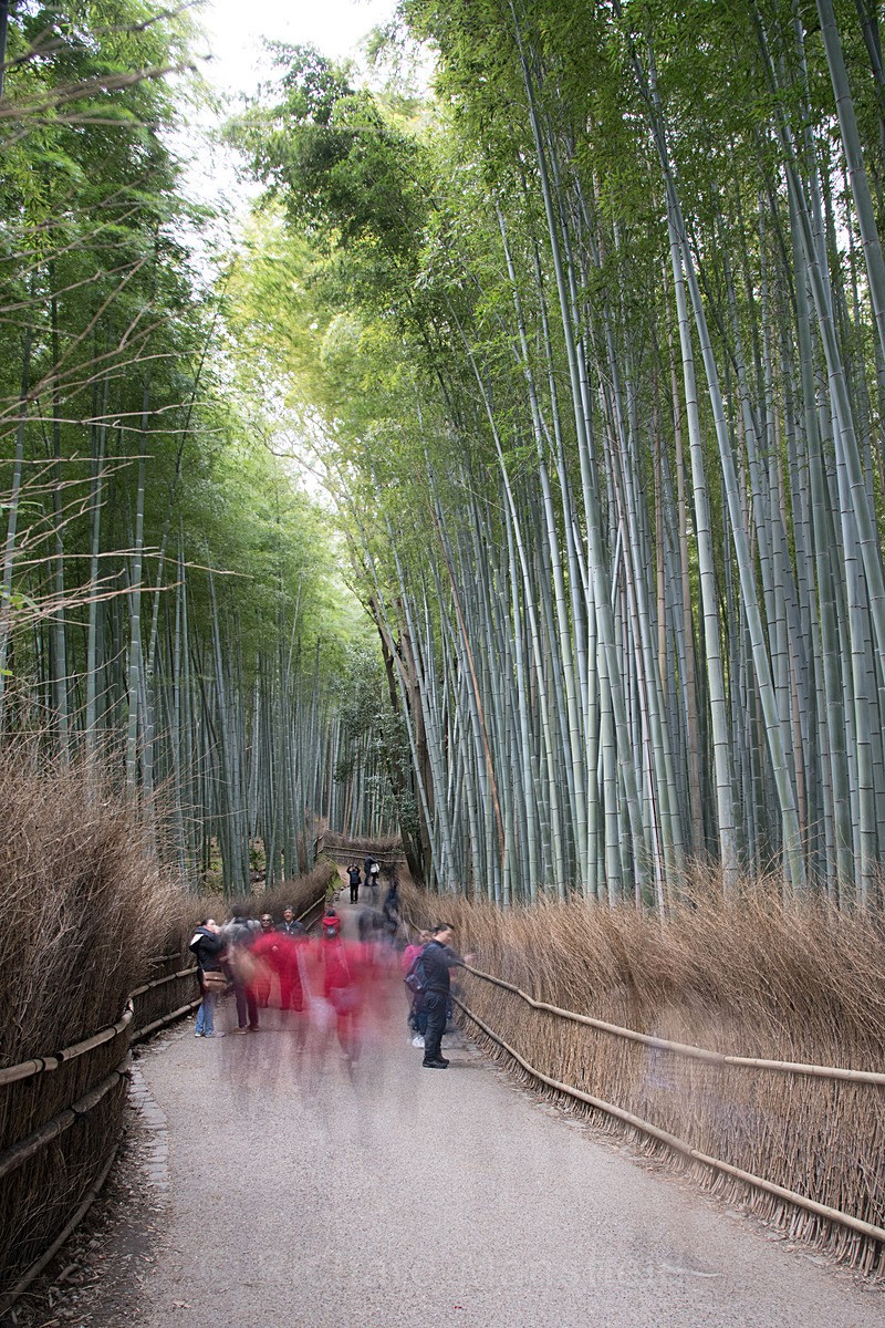  - Japan