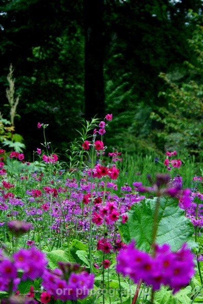  - Landscapes
