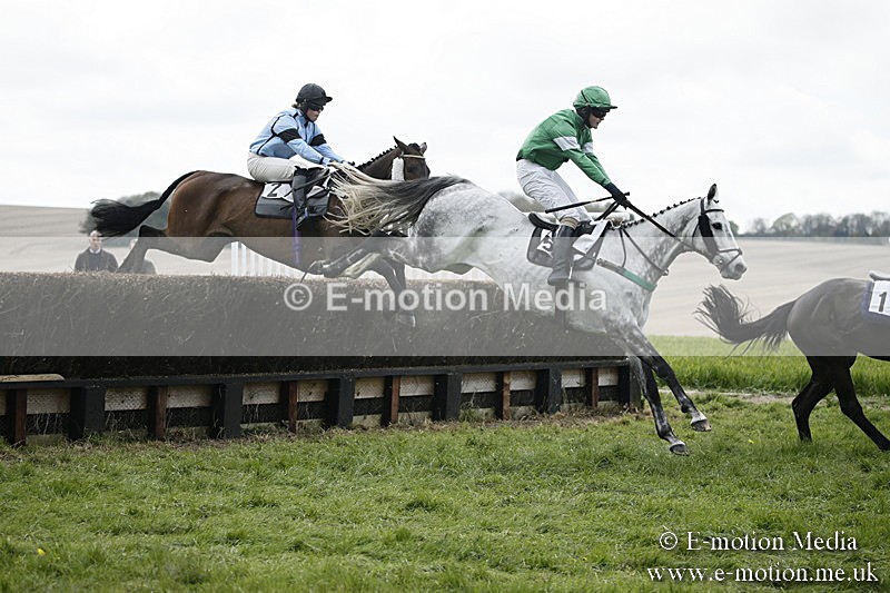 PtP 170417 79 - Old Berks Point-to-Point Lockinge 17/04/17