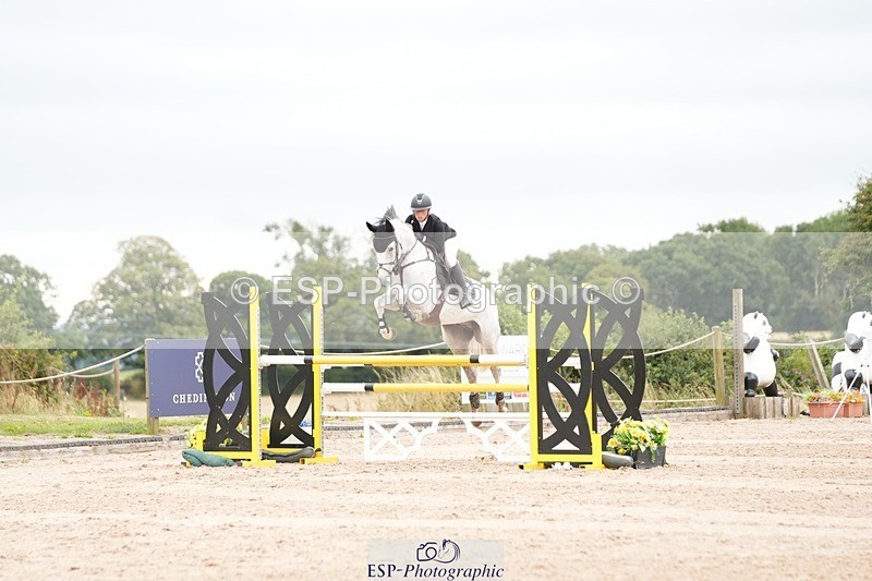 250803-120024-12950 - Cls 27 Chard Equestrian 5 Year Old Championship