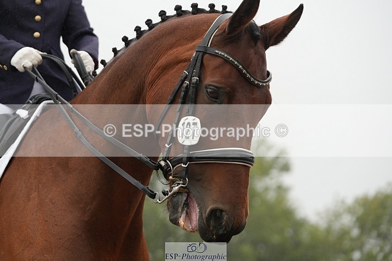 250907-143123-07789 - 127-Kathryn.LittleQuietly.Does.It