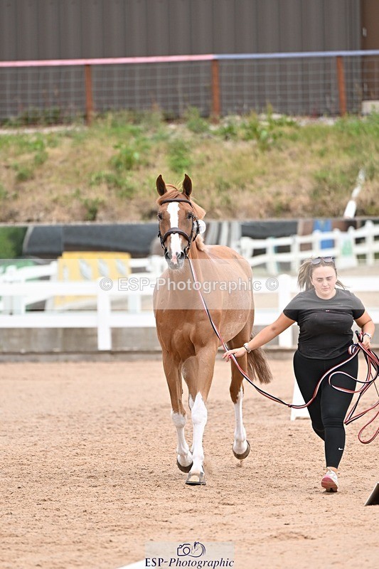 250716-140006-00852 - Trot Up 1.30 to 2.30