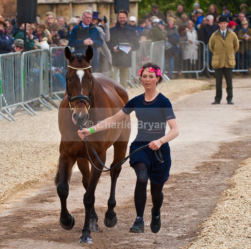  - Mitsubishi 2015 Badminton Horse Trials