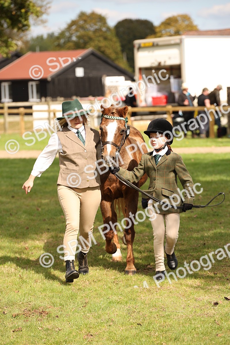 SBM_46351 - S25 - Mature Veteran In Hand