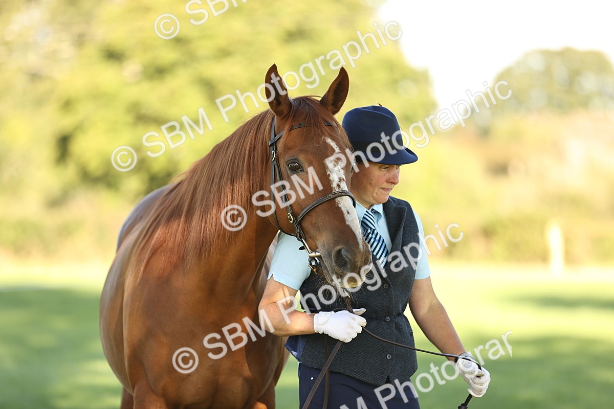 SBM_15743 - S1 - TSR in Hand Horse & Pony Showing