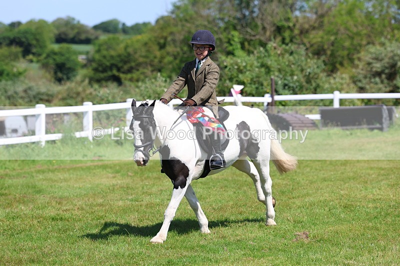3E7A6796 - Working Hunter Pony Championship