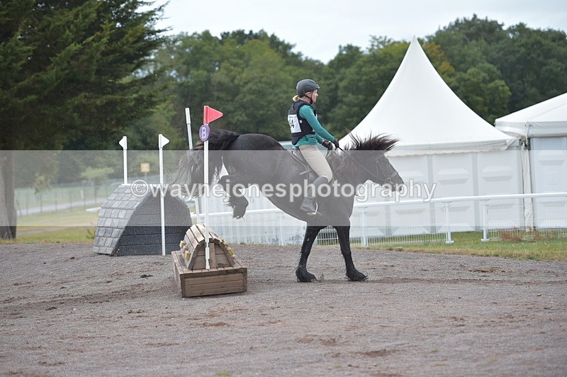 NGP_2831 - XC Time 11:37 to 11:57