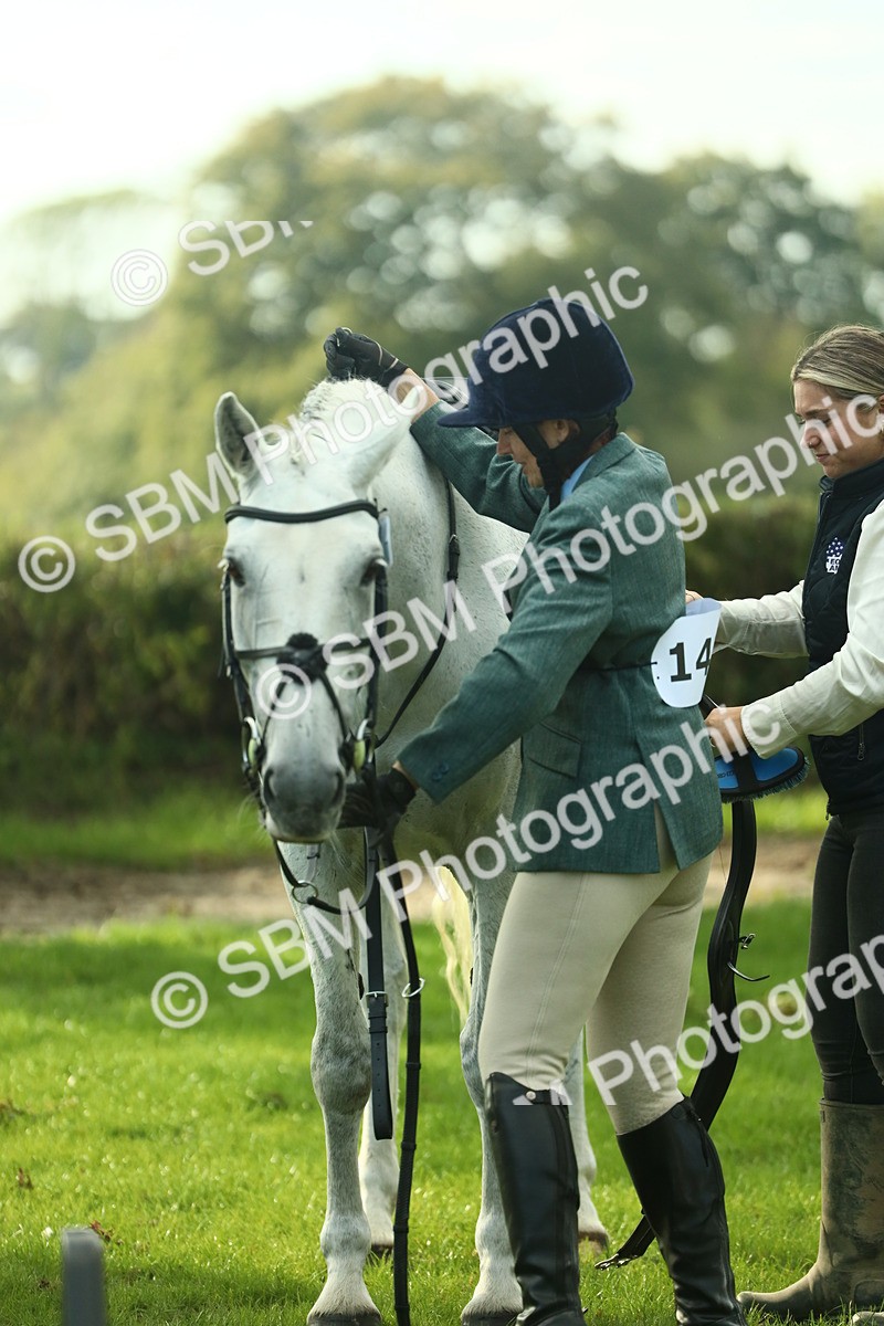 SBM_52152 - S33 - Working Hunter & Working Show Horse