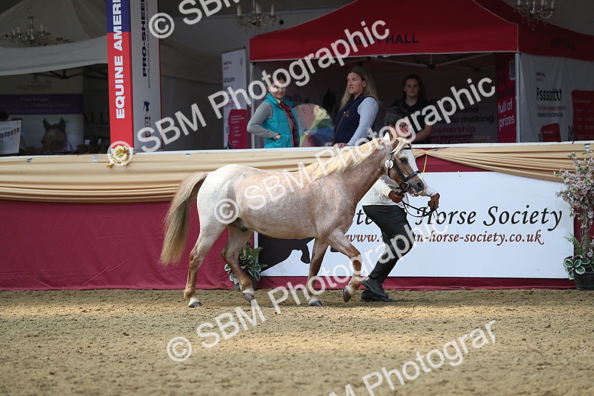 SBM_15263 - Class 501 M&M IH Supreme Final