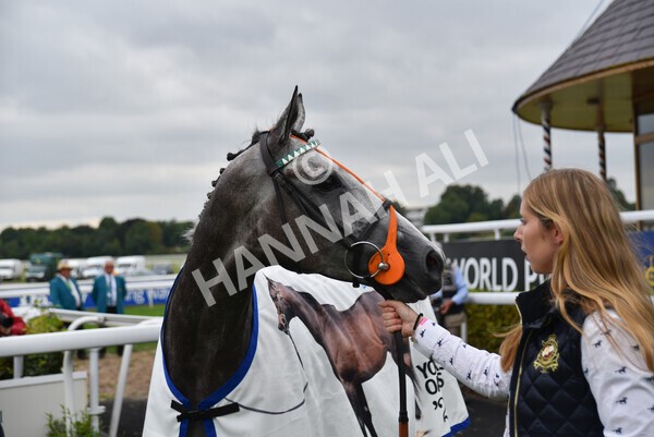 yr18082022r4-90 - Race 4 3.35pm Darley Yorkshire Oaks (British Champions Series Race)