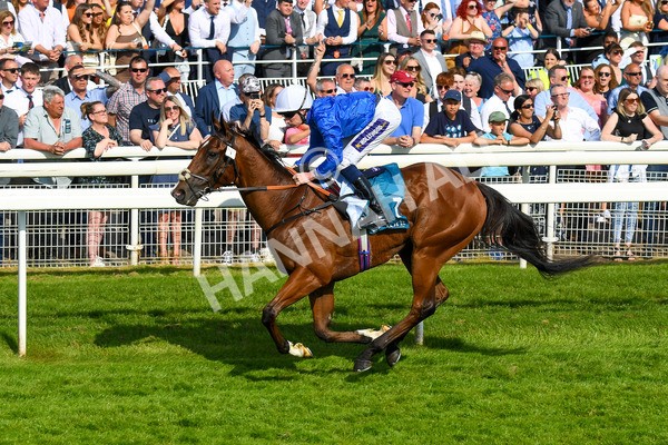 270523-Race 7-Shining Blue-1012 - Race 7 5.00pm Reg Bond Always And Forever Handicap