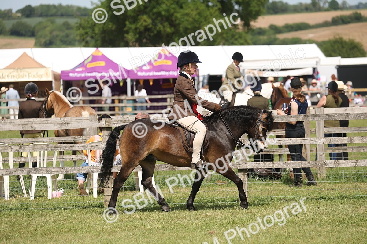SBM_07656 - Class 26-30 - Mountain and Moorland Ridden