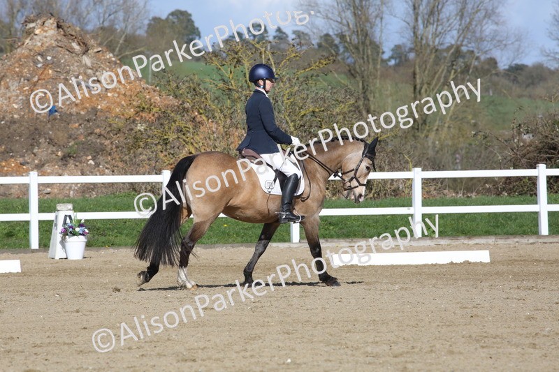 20260314-4255 - DR5 - Novice 1