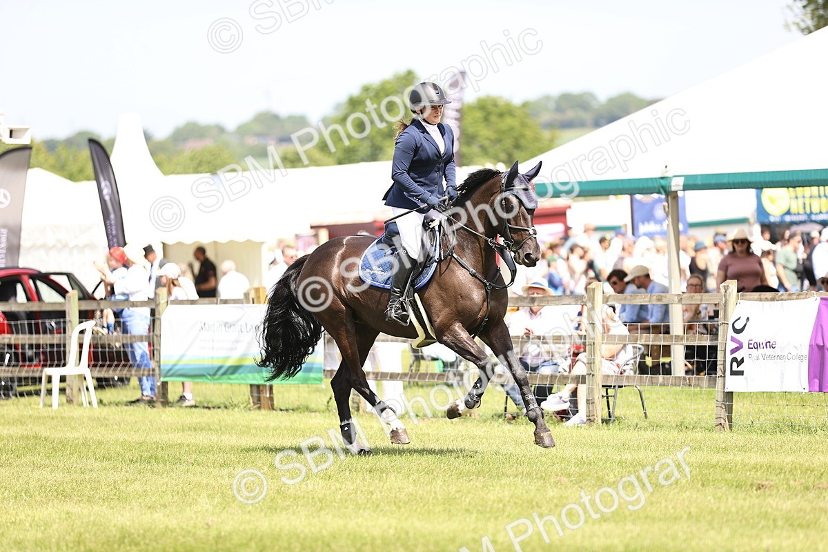SBM_04090 - Class 201 - British Horse Feedds Speedi Beet HOYS Grade C
