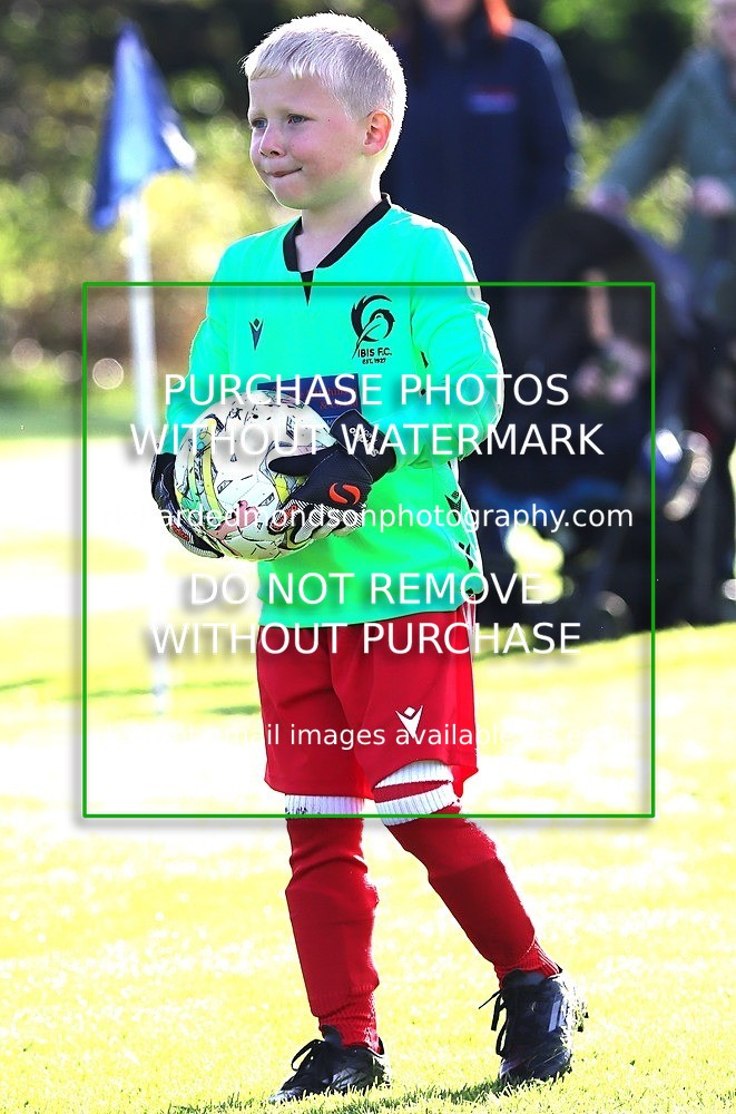 IMG_0139 - Ibis Under 7 vs Wattsfield Under 7 (28/9/24)