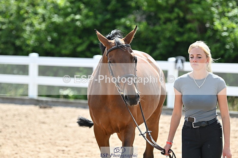 240717A-151339-02657 - Trot Up 3pm to 4pm