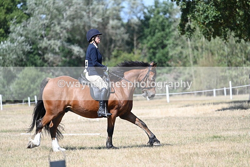 WJ7_0820 - Time 12:03 to 12:23