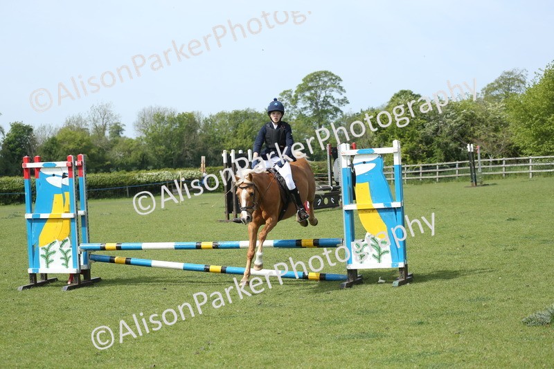 20260426-1743 - Class 14 - Novice 60cm