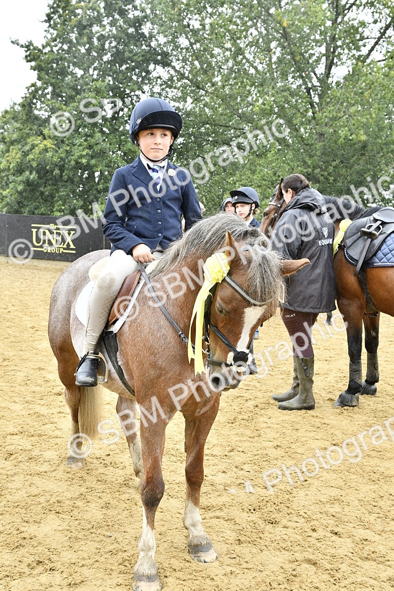 SBM_71026 - J3 - Mini Tour Junior Pony 40cm championship