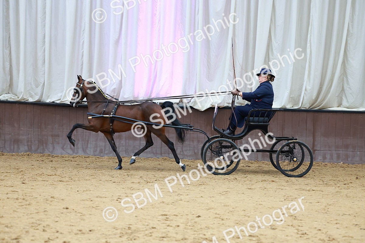 SBM_000681 - Class 9 - HHS Championship Intl Hackney Pony to a Showwagon