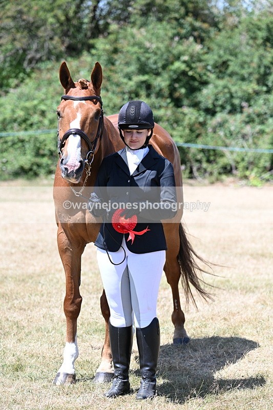 WJ7_2507 - Most Handsome Gelding Champs