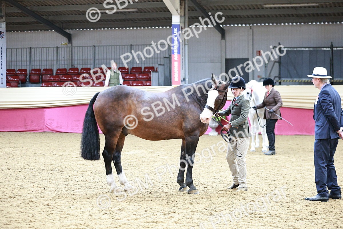 SBM_01249 - Class 3A - Area IH Pre-Vet