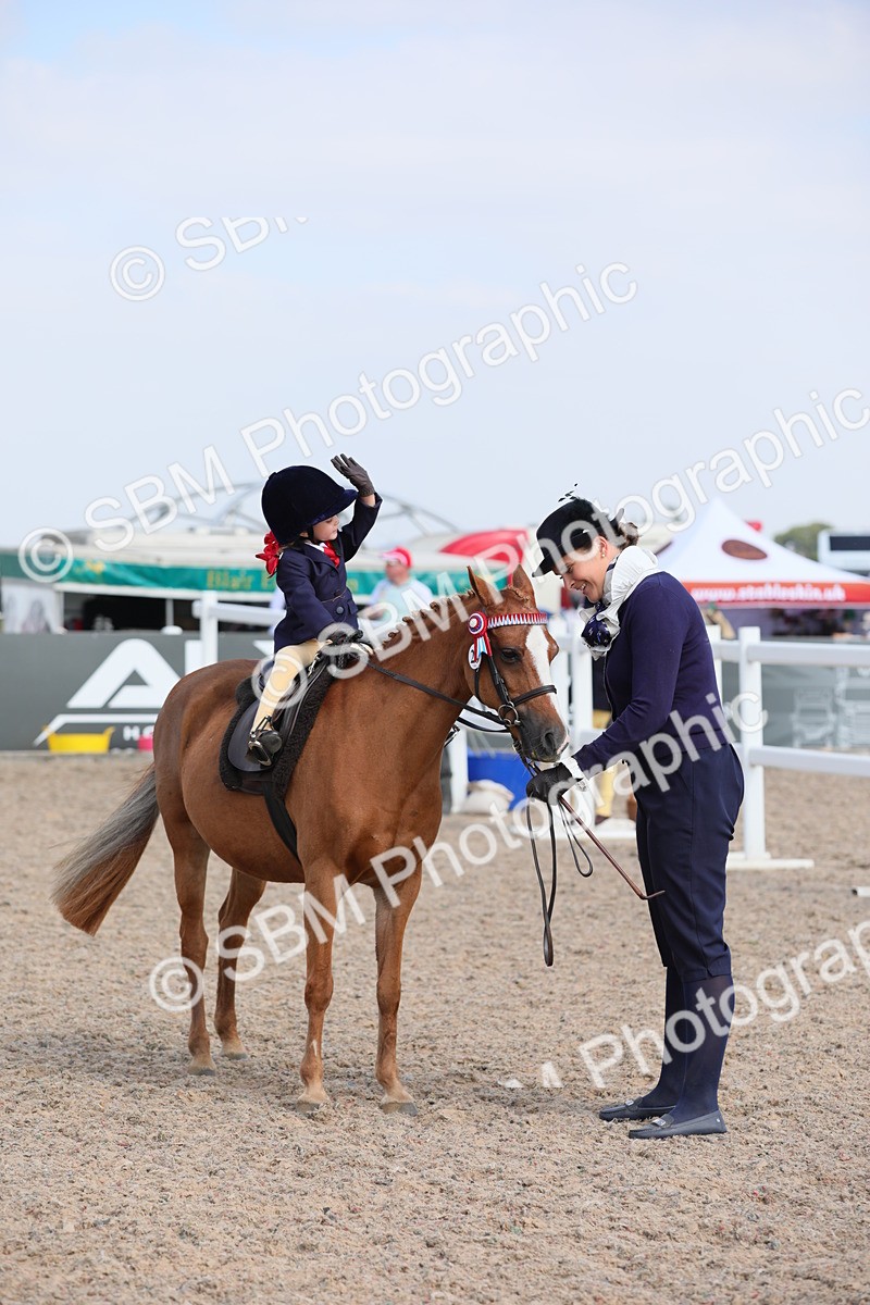 SBM_14009 - Class 309 Lead Rein Pony